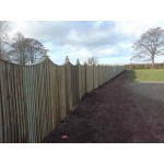 Swept Top Featherboard Fencing-10